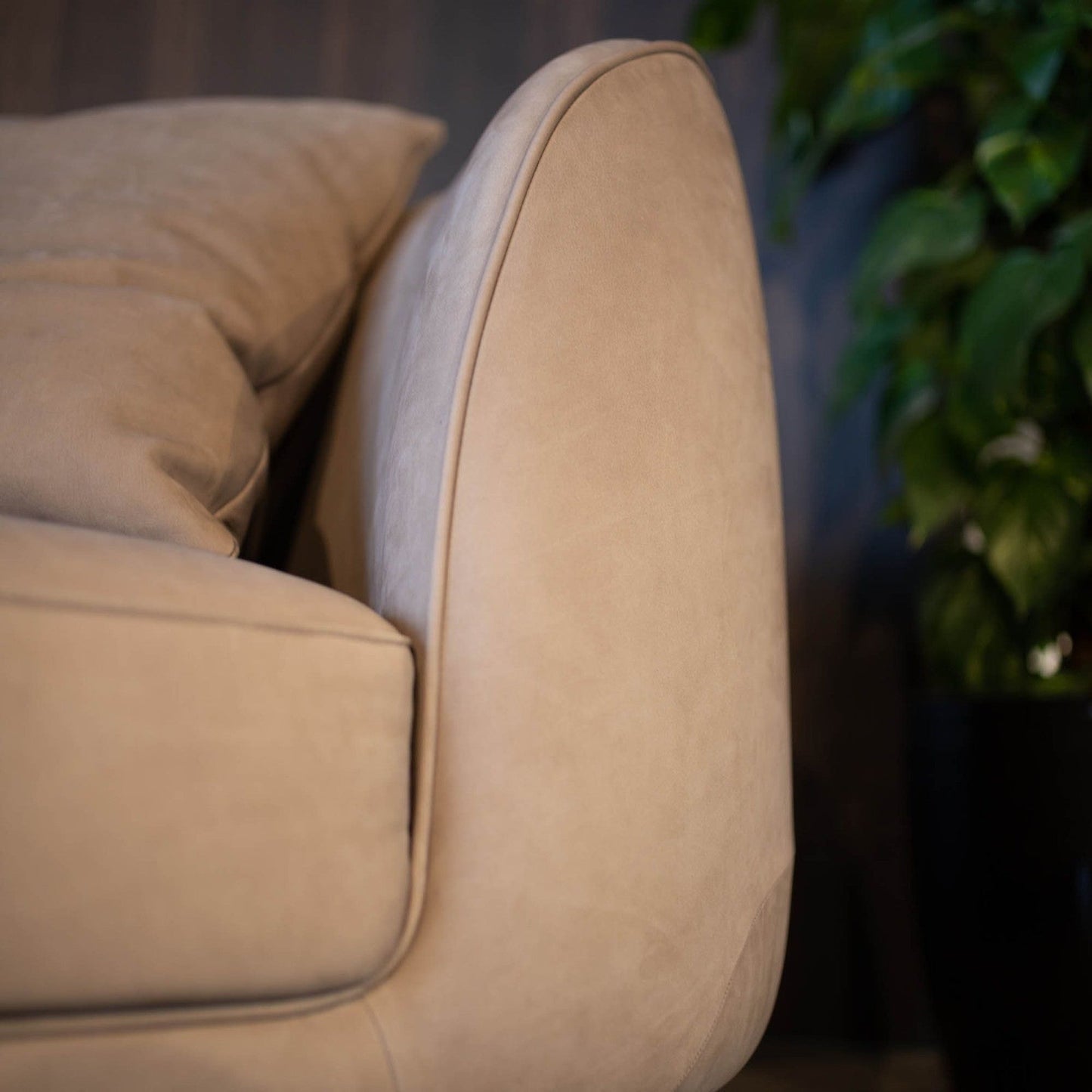 Aurea Sofa