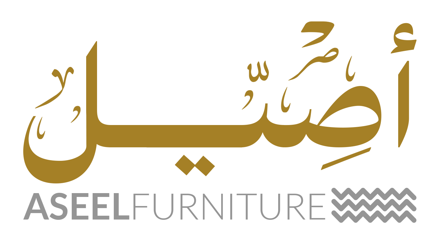 ASEEL I أصيــل