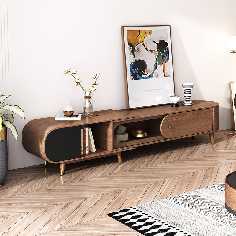 Minimalist Design TV Unit