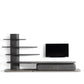 Bloom Tv Unit